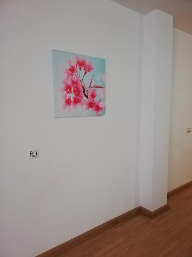 Apartamento En Primera Linea De Vera Playa Naturista! Zewnętrze zdjęcie