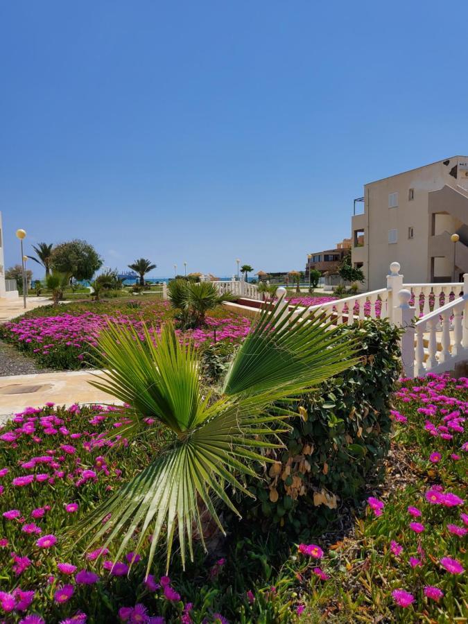 Apartamento En Primera Linea De Vera Playa Naturista! Zewnętrze zdjęcie